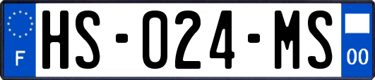 HS-024-MS