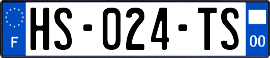 HS-024-TS