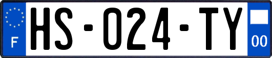 HS-024-TY