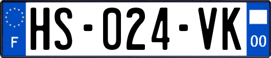 HS-024-VK