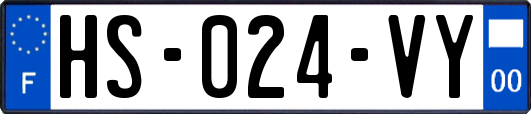 HS-024-VY