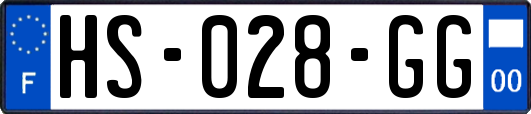 HS-028-GG
