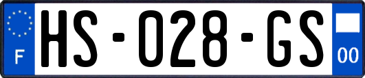 HS-028-GS