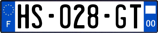 HS-028-GT