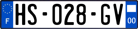 HS-028-GV