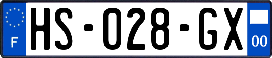 HS-028-GX