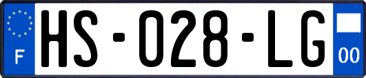 HS-028-LG