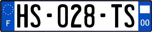 HS-028-TS
