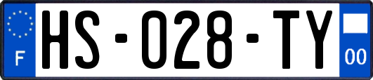 HS-028-TY