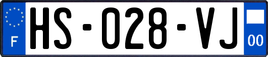 HS-028-VJ