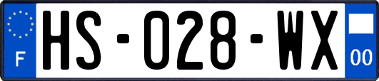 HS-028-WX