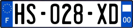 HS-028-XD