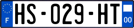 HS-029-HT