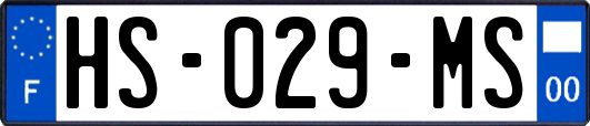 HS-029-MS