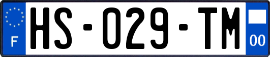 HS-029-TM