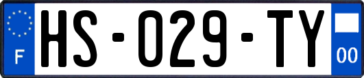 HS-029-TY