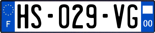 HS-029-VG