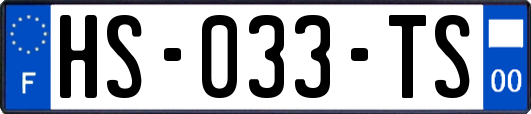 HS-033-TS