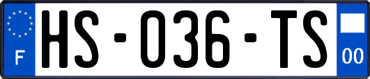HS-036-TS