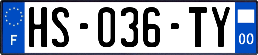 HS-036-TY