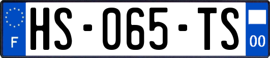 HS-065-TS