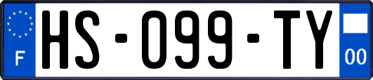 HS-099-TY