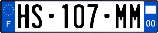 HS-107-MM