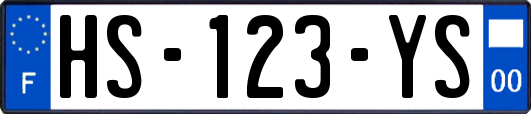HS-123-YS