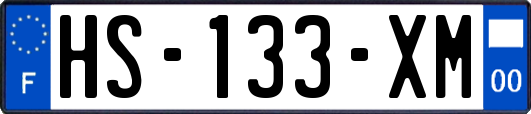 HS-133-XM