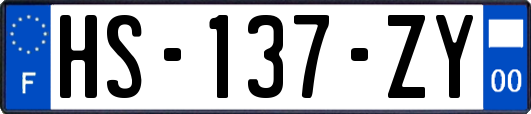 HS-137-ZY