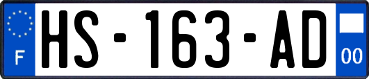 HS-163-AD