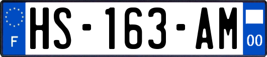 HS-163-AM