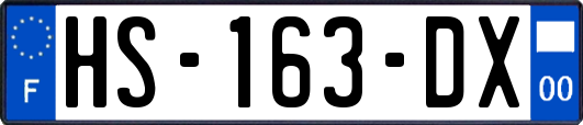 HS-163-DX