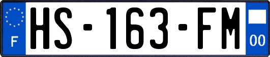 HS-163-FM
