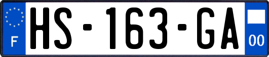 HS-163-GA