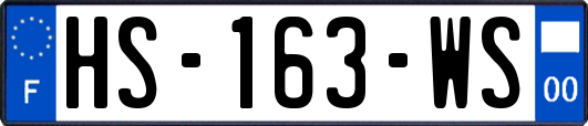 HS-163-WS