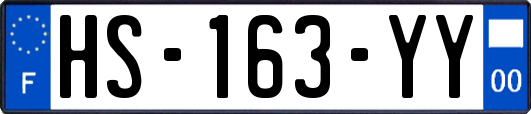 HS-163-YY
