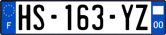 HS-163-YZ