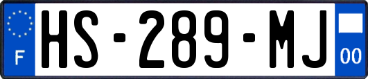 HS-289-MJ