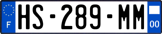 HS-289-MM