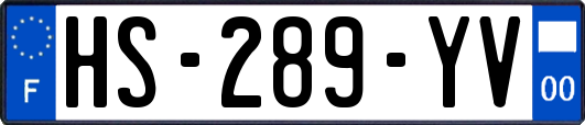 HS-289-YV