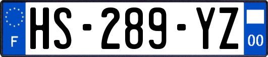 HS-289-YZ