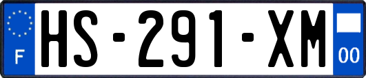HS-291-XM