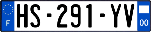 HS-291-YV