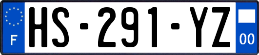 HS-291-YZ