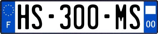 HS-300-MS