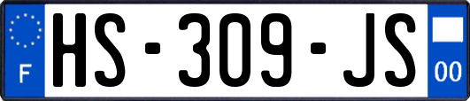 HS-309-JS
