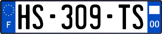 HS-309-TS
