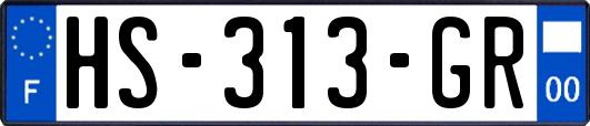 HS-313-GR