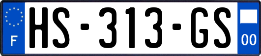 HS-313-GS